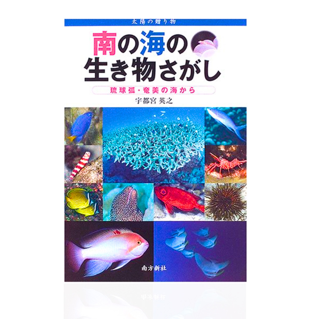 南の海の生き物さがし